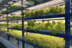 显著提高劳动出产率、地盘产出率、资本操纵