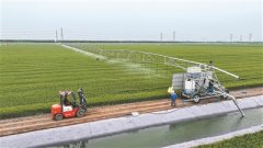 为统筹抓好高尺度农田扶植工了根本