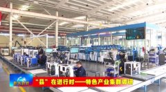 <b>营商为企业成长插上了起飞的同党</b>